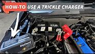 How to Trickle Charge Your Car Battery | Storing a Car