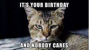 Birthday Meme: It's your birthday and nobody cares