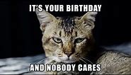 Birthday Meme: It's your birthday and nobody cares