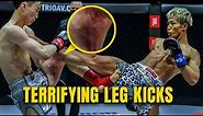 HUGE DAMAGE 😵 ONE's NASTIEST Leg Kicks | Nong-O, Rodtang & MORE!