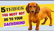 5 Things You Must NOT Do To Your Dachshund / All DACHSHUND Owners Must Watch!