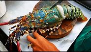 Thailand Street Food - The BIGGEST RAINBOW LOBSTER Cooked with Butter & Cheese