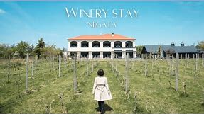Exploring Niigata city & Staying in a Winery