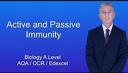 A Level Biology Revision "Active and Passive Immunity"