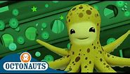 Octonauts - Friendly Octopus | Cartoons for Kids | Underwater Sea Education