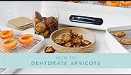 How to make DRIED APRICOTS in a dehydrator