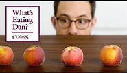 Why Peaches are My Favorite Fruit | What's Eating Dan?