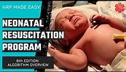 Neonatal Resuscitation Program (NRP) Algorithm Overview (8th Edition)