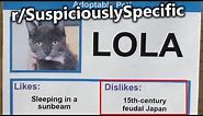 r/SuspiciouslySpecific | Memes that are so Specific, They're Suspicious.