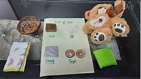 Sense of touch activity for kindergarten|Sense of touch|Smooth|Hard|rough|soft|Surface|Fun|Easy|kids