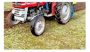 Massey Ferguson 135 tractor at the ploughing training day | Simply Agri by Pro Horizon