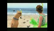 Scooby-Doo! Curse of the Lake Monster Teaser Trailer