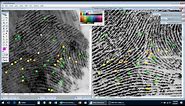 How to Compare Fingerprints - Examples 1-3