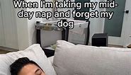 Taking a nap with your dog be like 💀 #weineedog #pets #dogparents #jokes kindly follow my page . thank youu... | Its weenie faamily
