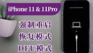 iPhone11 & 11Pro用机必备教程：强制重启、恢复模式、DFU模式