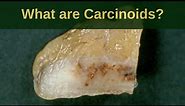 What are Carcinoid Tumours? - Pathology mini tutoriaL