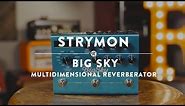 Strymon Big Sky Multidimensional Reverberator | Reverb Demo Video