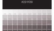 Pantone P Process Black C Color | Hex color Code #231f20  information | Hex | Rgb | Pantone