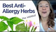 Best Herbs for Allergies (My Daily Healing Protocol)