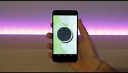 Nexus 5x Android Oreo 8.1 - New Features!