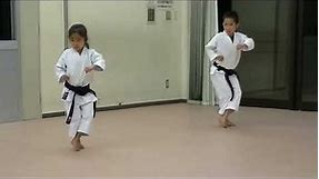 Karate Shotokan All Katas