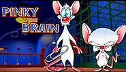 Pinky & The Brain Explored - A Forgotten Gem, Hilarious & Intelligent Cartoon Produced By Spielberg