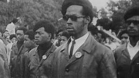 Who Were The Black Panthers? It's Complicated - Newsy