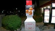 Arby's Drive Thru, #1 Meal, Curly Fries, Strawberry Lemonade, Jamocha Shake, Turnover, Goodyear, AZ