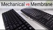 Mechanical vs Membrane Keyboards: Are Mechanical Keyboards Worth It?