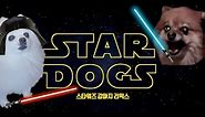 강아지 스타워즈 Star Wars Dog parody