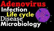Adenovirus life cycle, infection and disease