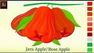 Java Apple Or Rose Apple Vector Drawing Full Tutorial By illustration learning