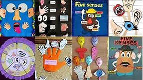 Teaching Five senses for preschool/Five Senses activities for kids/DIY activity/Bulletin board ideas