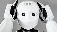 Meet REEM-C: The Humanoid Robot of the Future is Here Today
