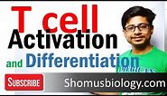 T cell activation and differentiation | T cell development 1