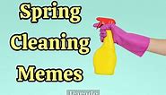 28 Funny Spring Cleaning Memes That Will Make You LOL
