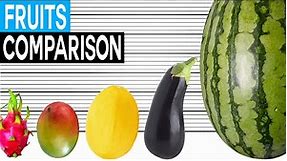 Fruit Size Comparison | Biggest Fruits