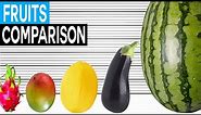 Fruit Size Comparison | Biggest Fruits