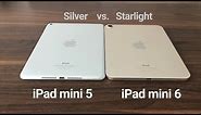 Color difference - Silver (iPad mini 2019) vs. Starlight (iPad mini 2021)