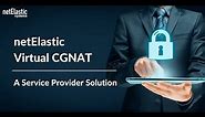 netElastic Virtual CGNAT - A Service Provider Solution