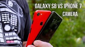 Samsung Galaxy S8 vs iPhone 7 Camera Comparison!