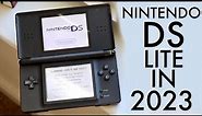 Nintendo DS Lite In 2023! (Review)