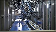 Robotic packaging solution for picking cake products - PWR