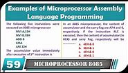2 Examples of Microprocessor Assembly Language Programming