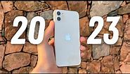 iPhone 11 in 2023 Review - The Budget Allrounder!