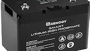 Renogy 12V 100Ah LiFePO4 Deep Cycle Rechargeable Lithium Battery, Over 4000 Life Cycles, Built-in BMS, Backup Power Perfect for RV, Camper, Van, Marine, Off-Grid Home Energy Storage, Maintenance-Free