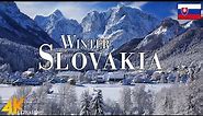 Winter Slovakia 4K Ultra HD • Stunning Footage Slovakia, Scenic Relaxation Film with Calming Music.