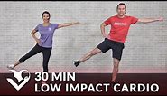 Low Impact Total Body Cardio Workout at Home for Beginners - 30 Minute Standing Cardio No Jumping
