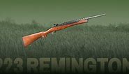 .223 Remington Rifles: 6 Incredible Picks for Varmint Hunting and Target Shooting