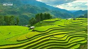 Mu Cang Chai – The land of the most beautiful rice terraces in Vietnam